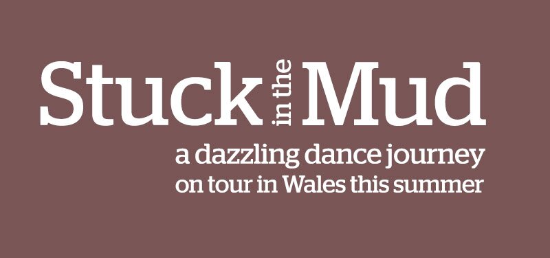 Stuck in the Mud a dazzling dance journey